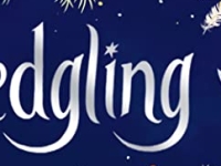 Review: Fledgling by Lucy Hope
